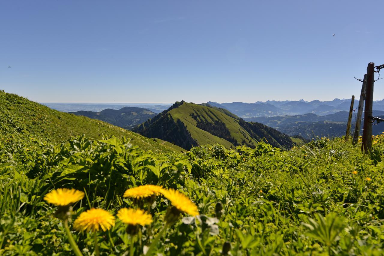 Berghues Schratt - Einfach Anders - Ihr Vegetarisches Und Veganes Biohotel Oberstaufen Exterior foto